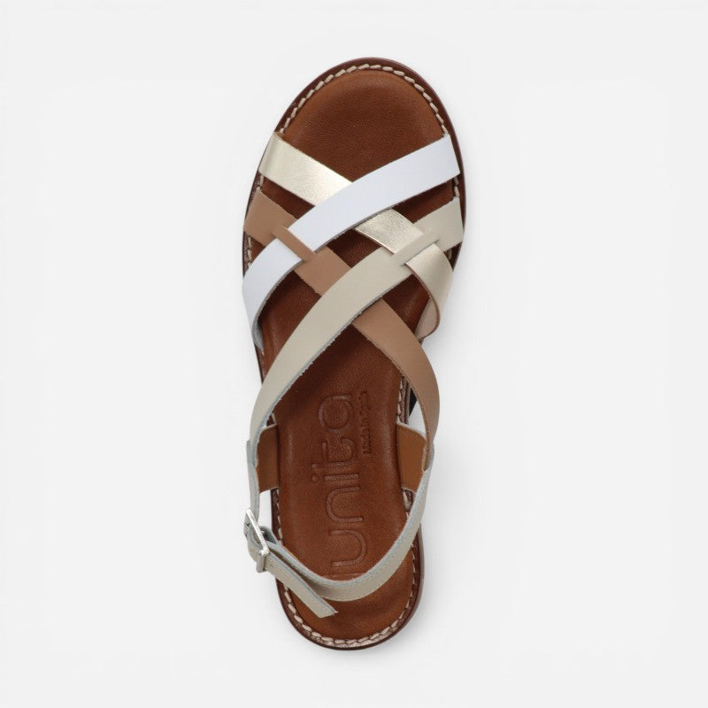 Nova Camel Multi