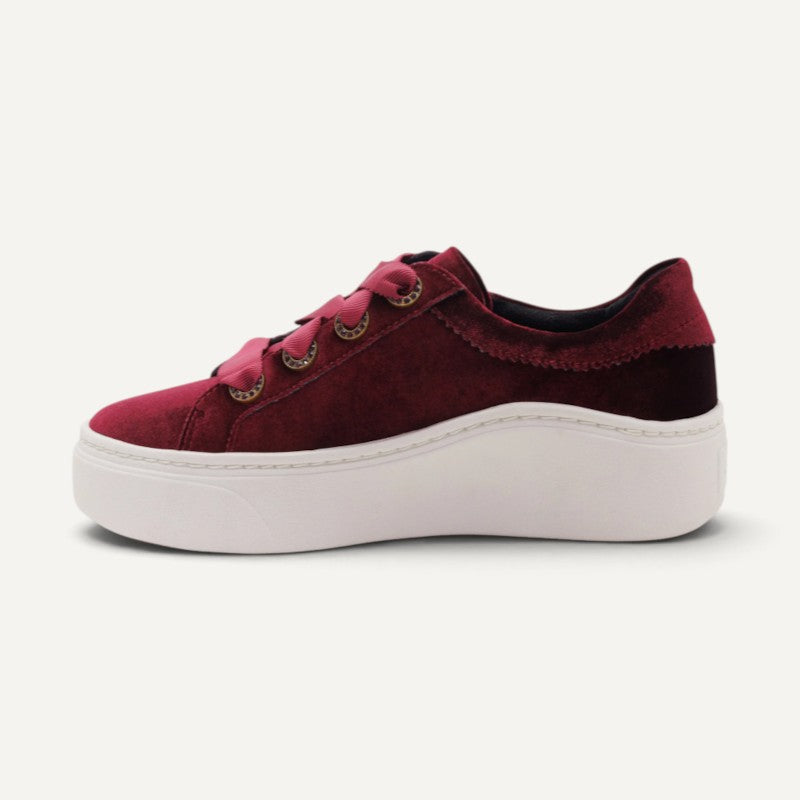Aubrey Burgundy Velvet