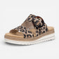 Jocelyn 51 Natur/Leopard