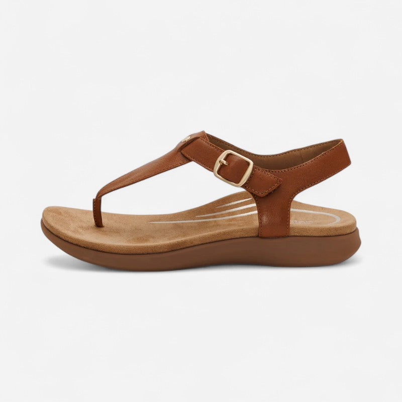 Tracey Cognac