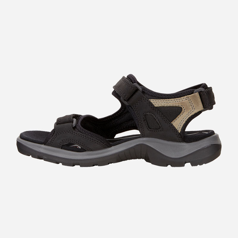 Yucatan Black