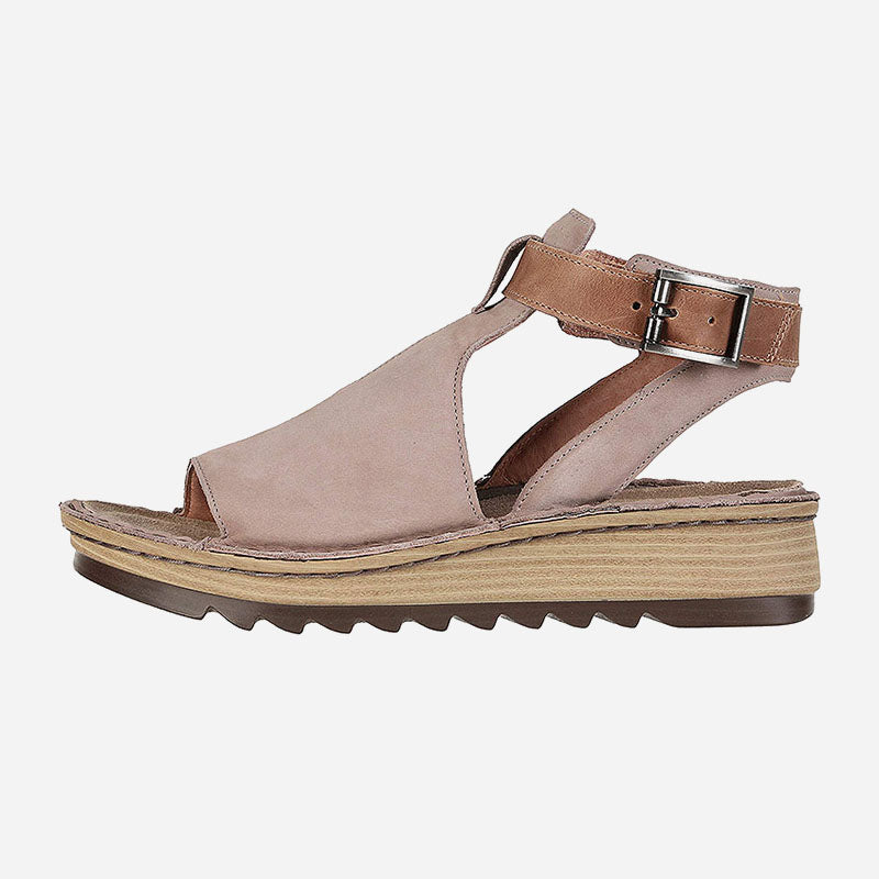 Verbena Blue